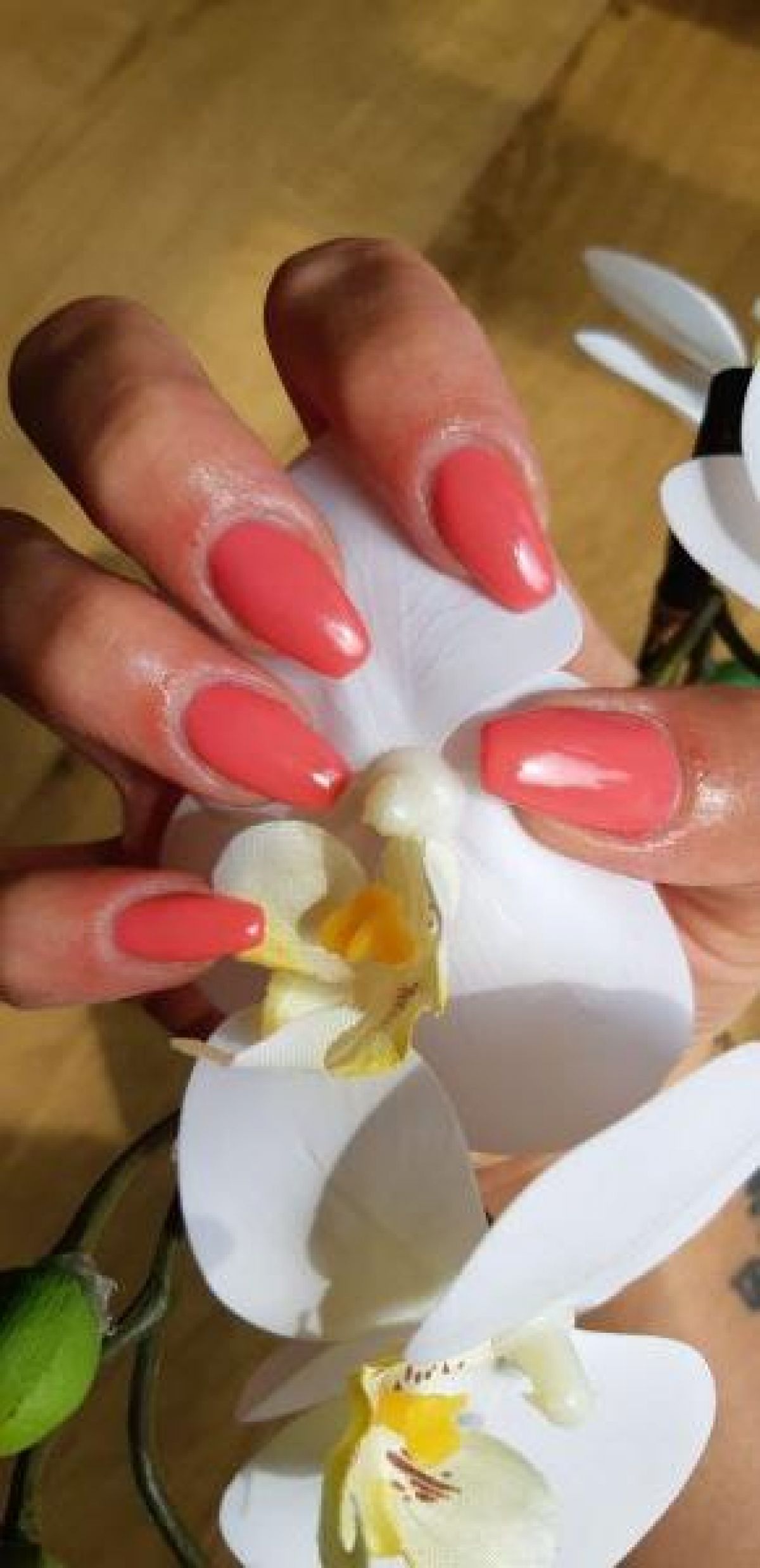Pose d'ongle  à Saint-André-lez-Lille (59) Par Kinga - Estheca