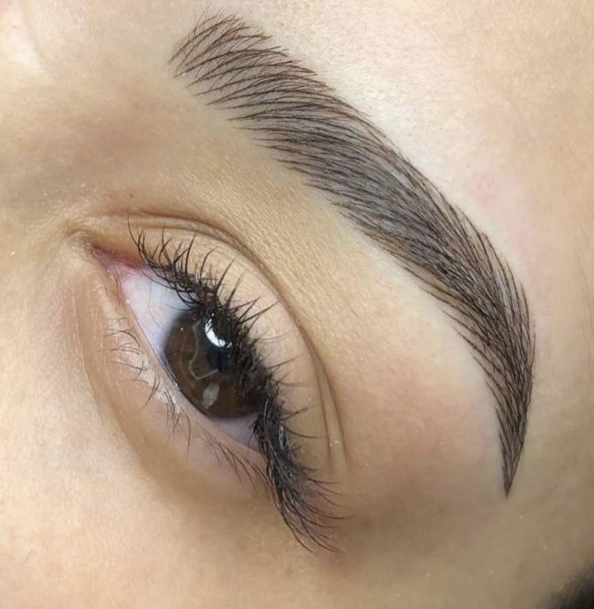 MicroBlading / MicroShading sourcils à Nice (06) Par Donia - Estheca