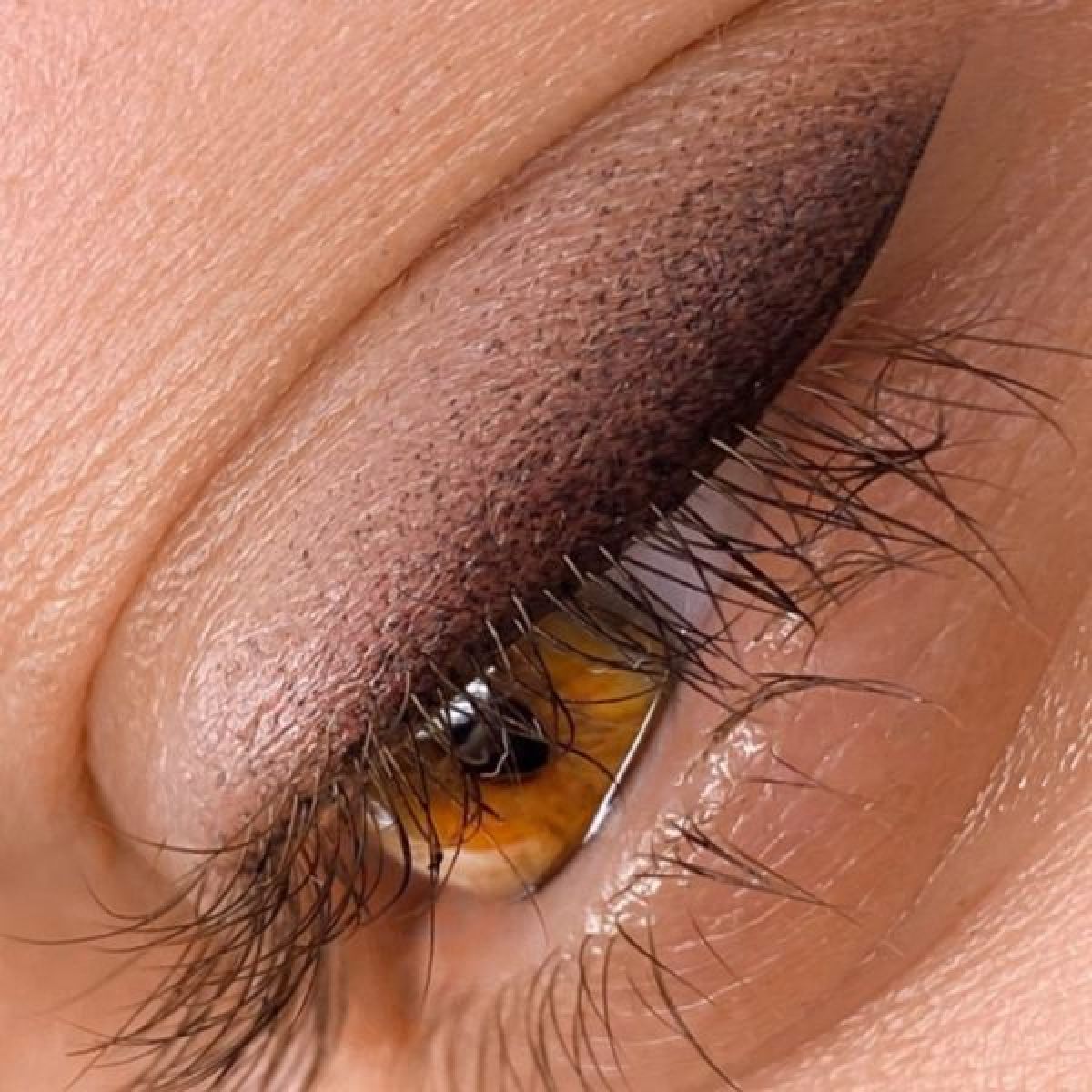 EyeLiner  effet poudré Maquillage permanent  à Wattrelos (59) Par Donya - Estheca