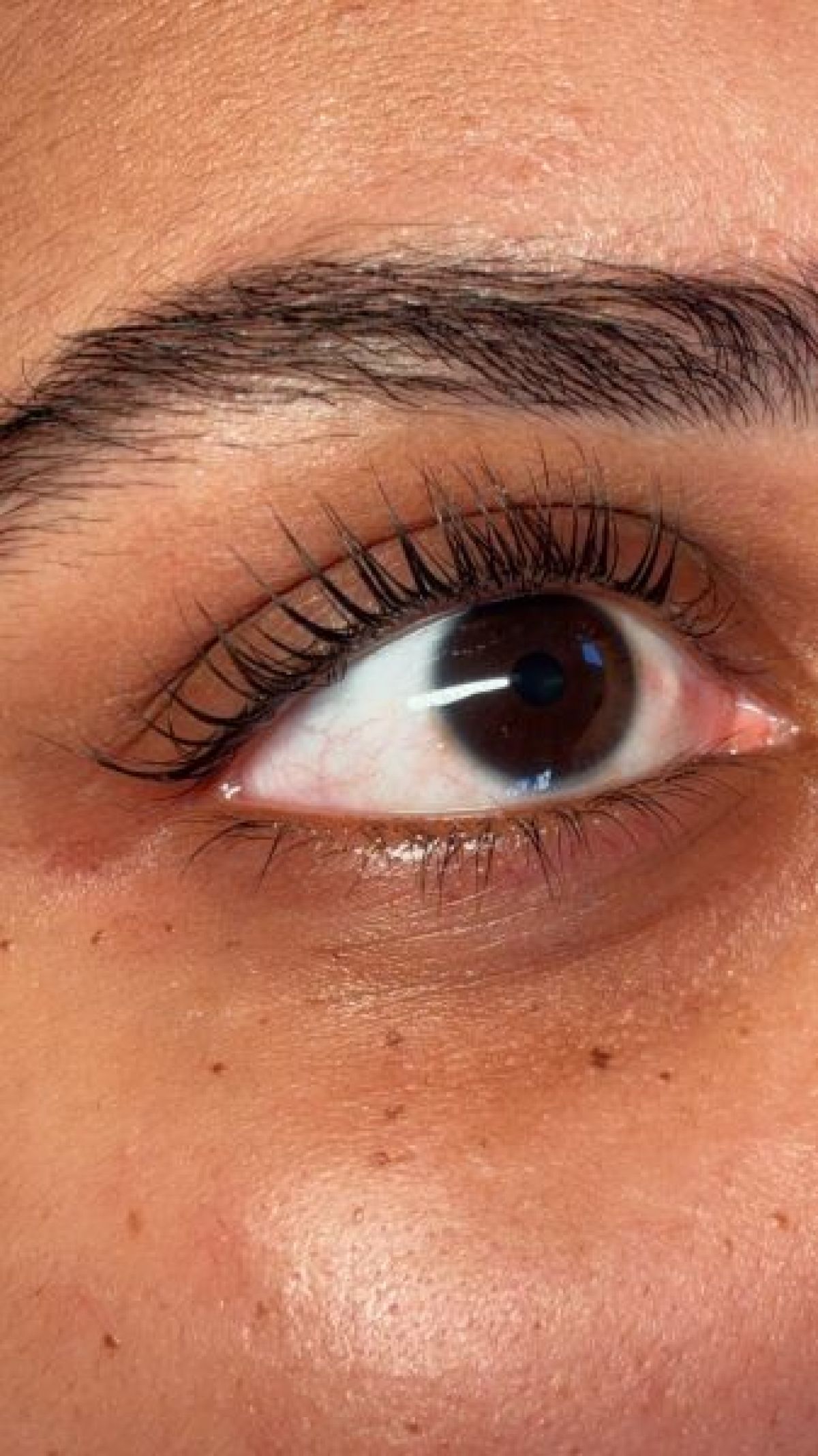 Rehaussement de cils à Villenave-d'Ornon (33) Par Ramona - Estheca