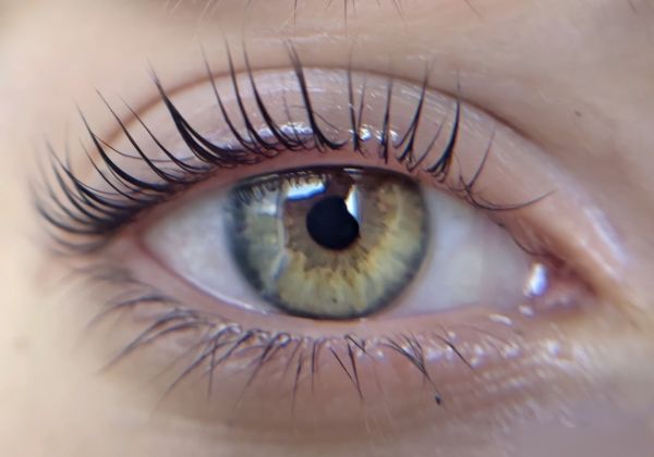 À Saint-Gratien | Rehaussement de cils + coloration de cils | Les meilleures esthéticiennes