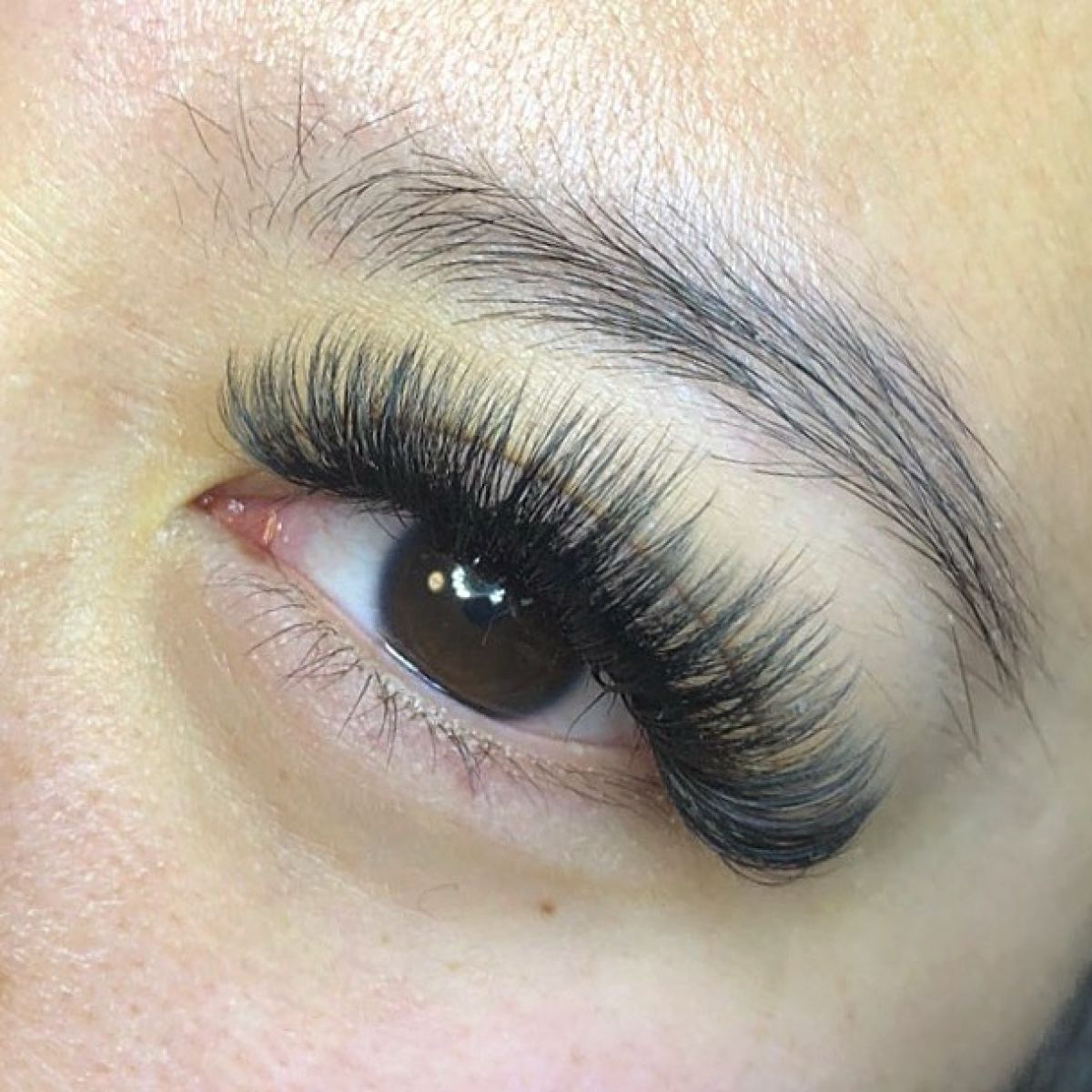Cil A Cil Oeil De Biche Extensions de cils à Oignies (62) Par Jessica - Estheca