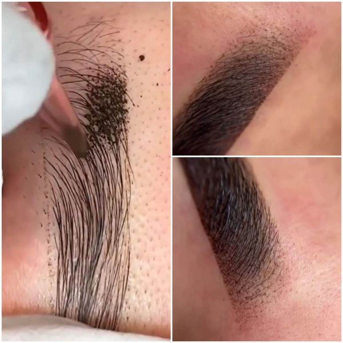 Dermopigmentation Sourcils poudré à Pornichet (44) Par Anne - Estheca