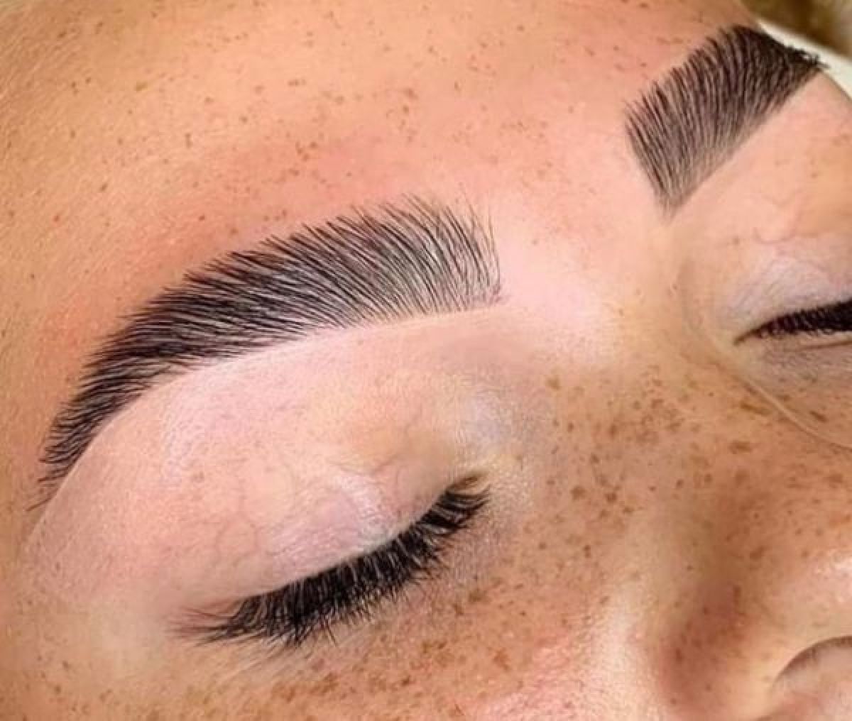 Browlift (Rehaussement de sourcils) à Dijon (21) Par Camille - Estheca